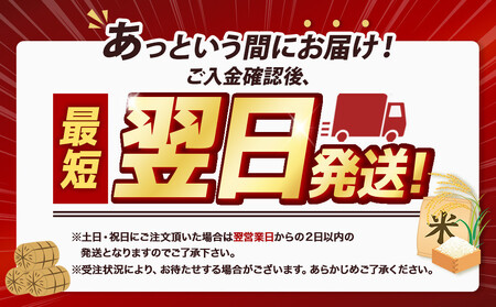【配送地域 関東・東北・甲信越 限定！】北海道産ななつぼし１０kg　令和6年産米/最短翌日発送