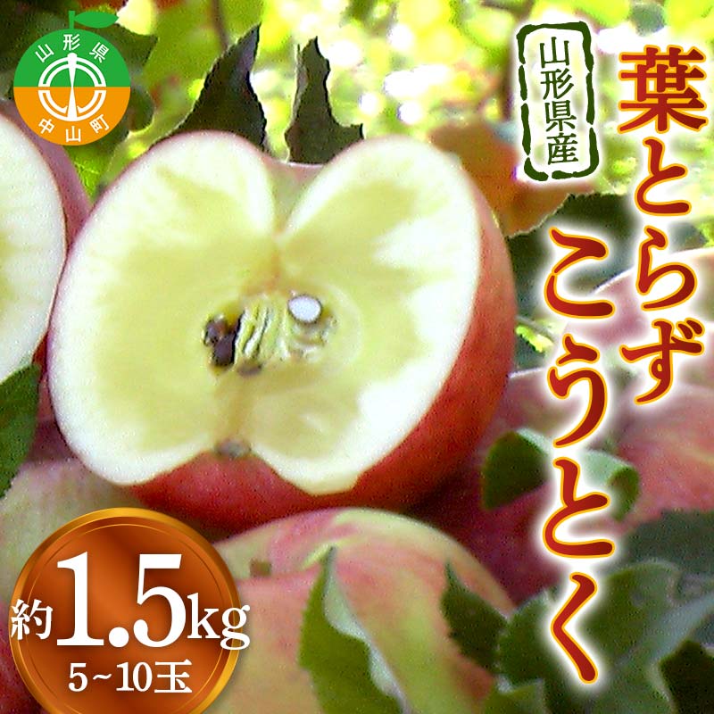 【ふるさと納税】山形県産りんご 葉とらずこうとく 約1.5kg 5～10玉 林檎 リンゴ 果物 くだもの フルーツ 山形県産 F4A-0915