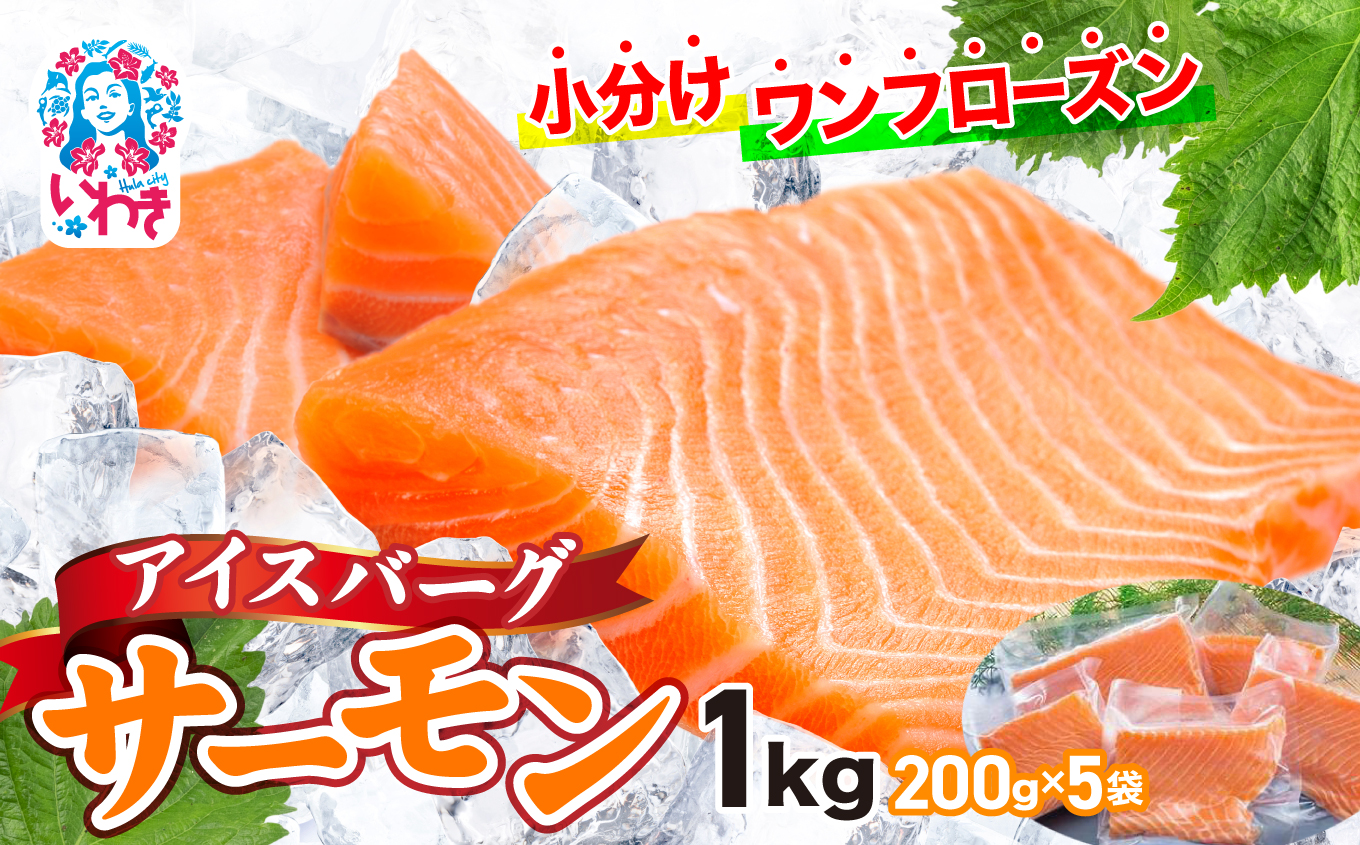 アイスバーグサーモン（アトランティックサーモン）　約1kg（約200g×5袋）| アイスバーグサーモン アトランティックサーモン 産地直送 冷凍 お取り寄せ サーモン 切り身 北欧 ノルウェー オメガ3 高たんぱく 健康志向 | DK006