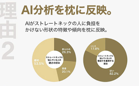 ストレートネックに悩む人向け枕 THE PILLOW Preset 03 Straight Neck