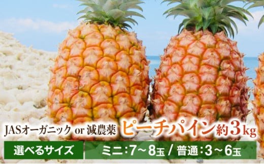 
                  2026年 先行予約 パイナップル ついに実現 転換期間中 JASオーガニック ピーチパイン約3kg JASオーガニックor減農薬 ミニ7～8玉 普通3～6玉 果物 フルーツ
                