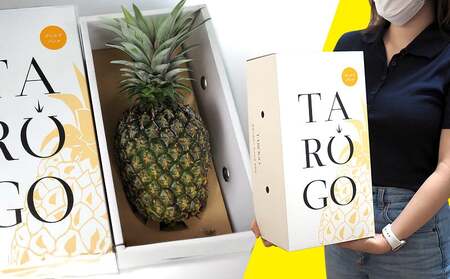 東物産「TARUGO」約2kg（1玉）白箱／贈答用