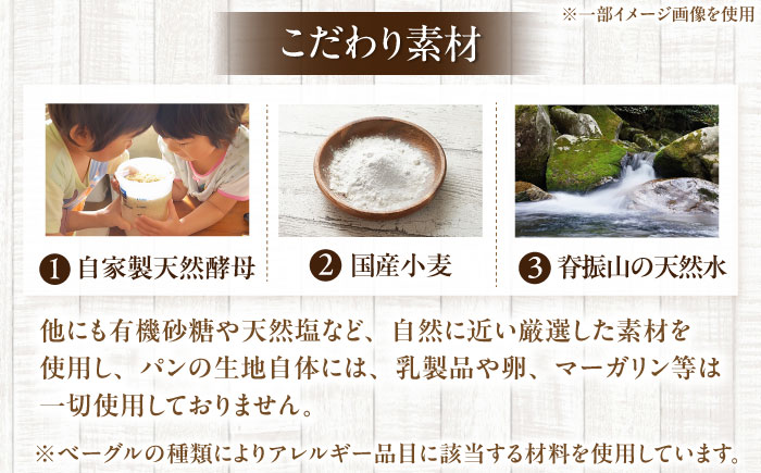 自家製天然酵母のベーグルセット 計約1kg / パン ベーグル セット / 佐賀県 / パンと器のコネル [41AJAB003]