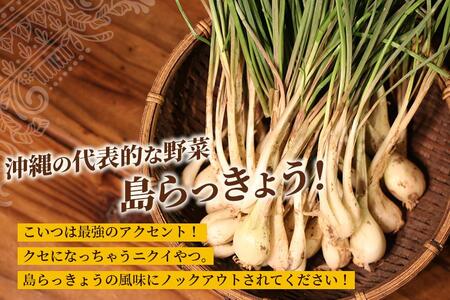 MOSESU CURRYの島カレーシリーズ　島らっきょうとひき肉のカレー 250g×6食（FP002）