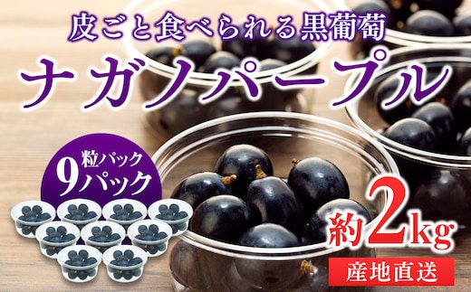 
										
										ぶどう ナガノパープル 粒パック 約2kg 皮ごと食べられる黒葡萄 葡萄 ぶどう ブドウ 長野 フルーツ 果物 信州産 長野県産 特産 産地直送 おすすめ デザート
									