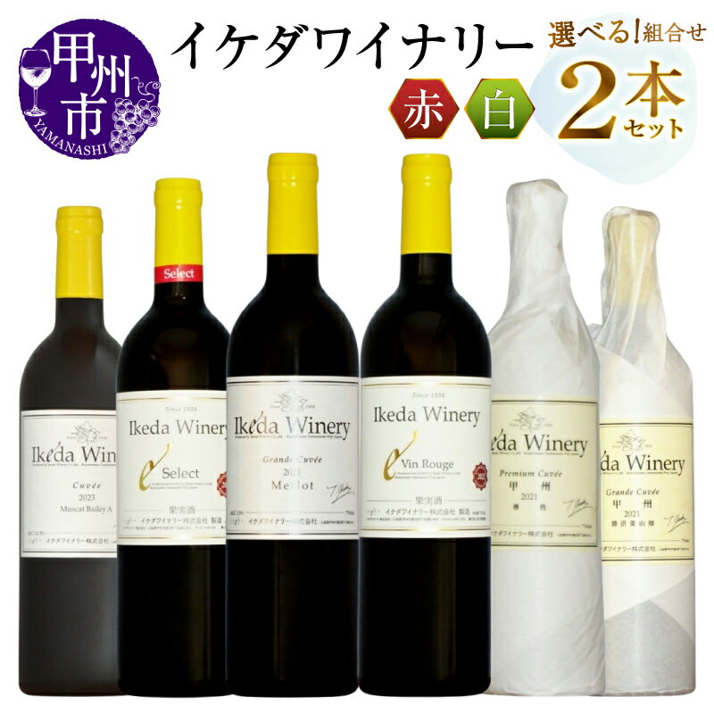【ふるさと納税】 ワイン 赤 白 選べる お届け内容 組合せ 750ml 2本 セット イケダワイナリー プレミアム・キュヴェ甲州 グラン・キュヴェ甲州 マスカットベリーA セレクト赤 グラン・キュヴェメルロー ヴァン・ルージュ 母の日 父の日 記念日 ギフト 山梨県 甲州市 （MG）