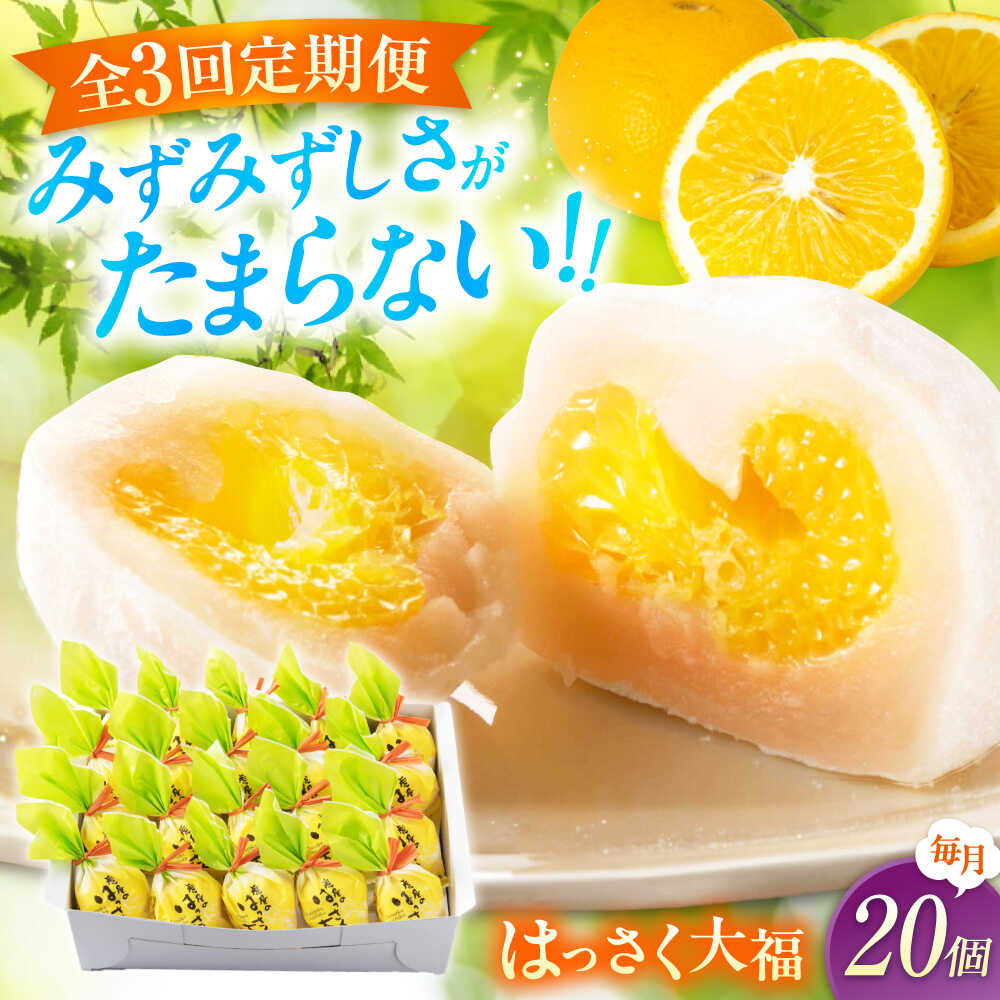 【ふるさと納税】【3回定期便】お菓子 はっさく大福20個入　 お菓子 大福 八朔 柑橘 みかん オレンジ 餅 ギフト お取り寄せ スイーツ フルーツ大福 ご当地 菓子 おかし デザート 食品 人気 おすすめ 広島県福山市/株式会社虎屋本舗[BADH030]
