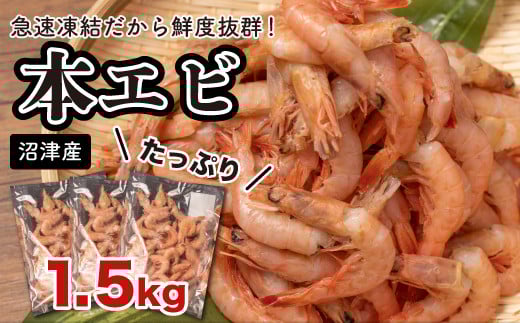 えび 冷凍 海老 Ｍサイズ 1.5kg 500g 3パック 駿河湾 採れたて エビ餃子 エビチリ エビ餃子 静岡県 沼津市