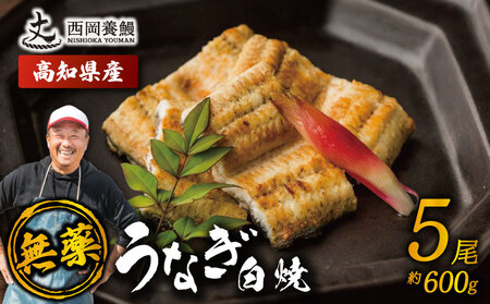 【 鰻白焼 】 国産 うなぎ白焼 600g ( 120g × 5尾 )