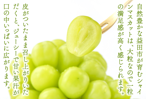 B-542 【先行予約】 シャインマスカット 2房【ぶどう シャインマスカット 種なし 先行予約 しゃいんますかっと 2房 たねなし 皮ごと 大粒 期間限定 季節限定】