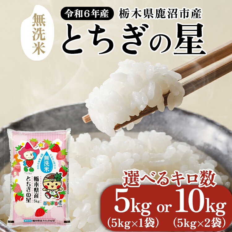 【ふるさと納税】【数量限定】【選べる容量】栃木県鹿沼市産 とちぎの星 無洗米 5kg または 10kg 令和6年産 水稲うるち精米 単一原料米 お米 特A 大粒 甘さ ※2024年10月上旬～2025年7月下旬頃に順次発送予定 ※沖縄・離島への配送不可