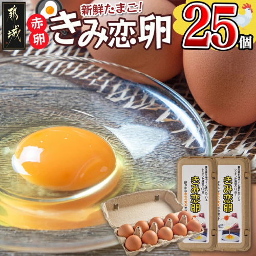 新鮮赤卵「きみ恋卵」25個_LF-29-011-25