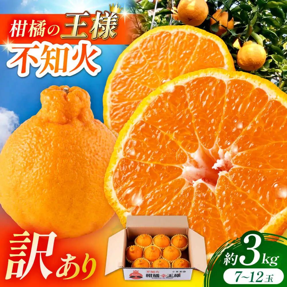 先行予約 訳あり 柑橘の王様 ハウス栽培 不知火 デコポン 約3kg（7～12玉）[ZBN008]