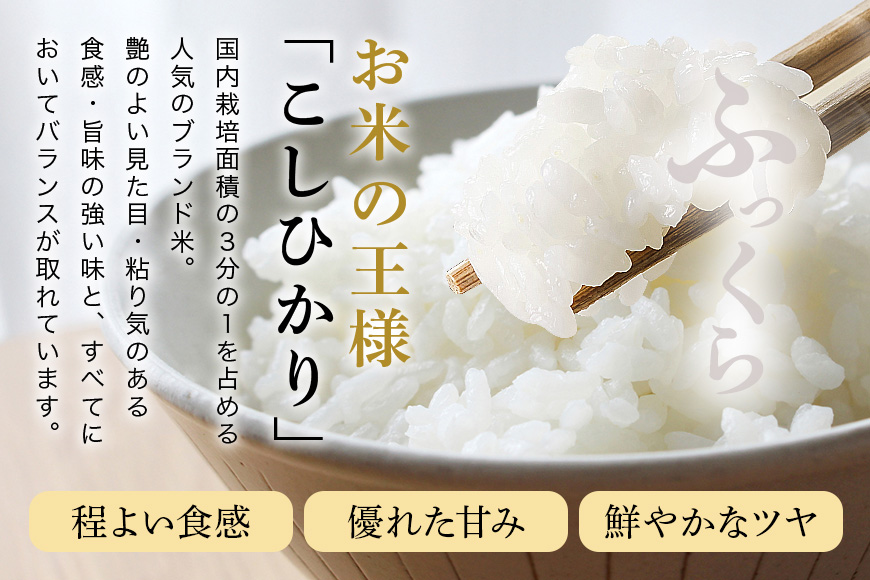 令和7年産 新米 コシヒカリ 米 10kg ( 5kg ×2 ） 白米 こめ こしひかり 国産 国産米 取り寄せ ごはん ご飯 コメ お取り寄せ お弁当 弁当 おにぎり 産地直送 特産  ギフト プレ