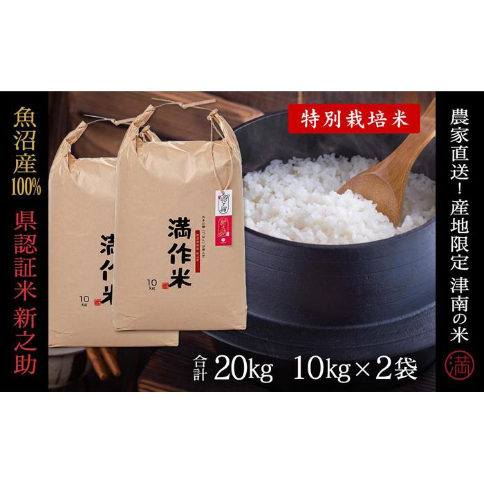 【ふるさと納税】【2025年産新米】【県認証】魚沼津南産新之助 20kg(10kg×2袋) 選べる配送回数 産地限定！農家直送