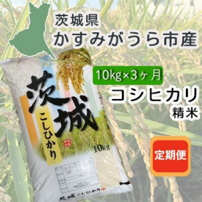 【ふるさと納税】【毎月定期便】茨城県かすみがうら産　精米　コシヒカリ10kg全3回【4076524】