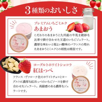 いちごジェラート詰め合わせ(12個入り)_いちご ジェラート 3種類 × 各 4個 100ml 計 12個 詰め合わせ プレミアム いちごミルク あまおう ヨーグルト ホワイトショコラ 紅ほっぺ 煌め