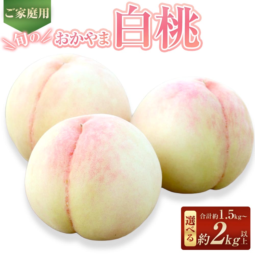 【ふるさと納税】＜選べる内容量＞【ご家庭用】旬のおかやま白桃 5〜6玉（約1.5kg以上） / 7〜9玉（約2kg以上） 白桃 桃 もも モモ フルーツ くだもの 果物 果実 デザート 岡山県産 国産 岡山県 倉敷市 送料無料 【2026年7月上旬～8月下旬迄発送予定】