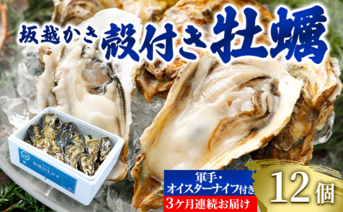 【発送月固定定期便】生食OK 坂越かき 殻付き牡蠣 12個 軍手・オイスターナイフ付全3回