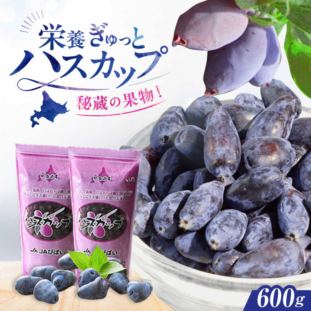 【ふるさと納税】ハスカップ 600g（300g×2パック） | フルーツ 果物 北海道 特産品 冷凍 | JAびばい[BOAF030]