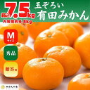 【ふるさと納税】みかん Mサイズ 秀品 箱込 7.5kg (内容量約 6.8kg) 有田みかん 和歌山県産 産地直送 贈答用 【みかんの会】 | フルーツ 果物 くだもの 食品 人気 おすすめ 送料無料