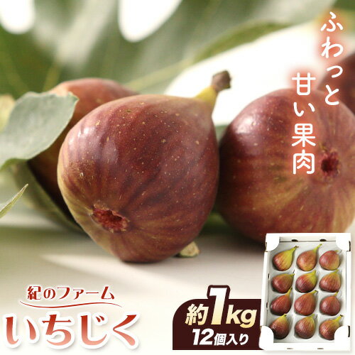 【ふるさと納税】いちじく 約 1kg ( 12個入り ) 紀のファーム 《8月中旬-10月上旬頃より発送予定》 和歌山県 紀の川市 イチジク 無花果 果物 くだもの フルーツ 送料無料