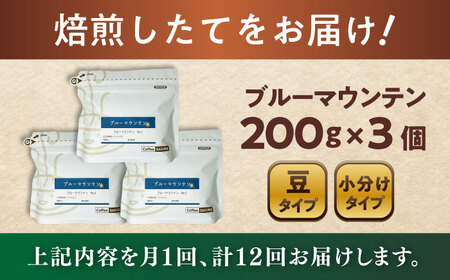 【全12回定期便】ブルーマウンテンNo.1　コーヒー豆　200g×3個 (豆)  / コーヒー  ドリップ  豆 / Coffee SAKURA[BBAB081]