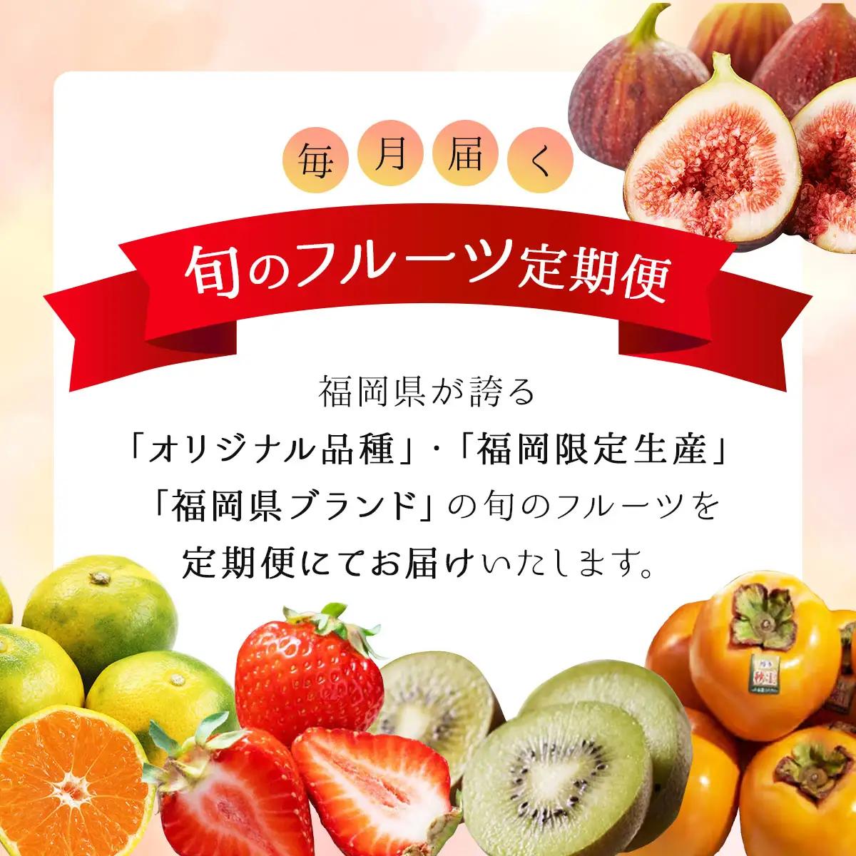 ＜4回定期便＞福岡ブランドの旬のフルーツ定期便 (篠栗町)｜イチジク ミカン キウイ 柿 イチゴ【NF020】