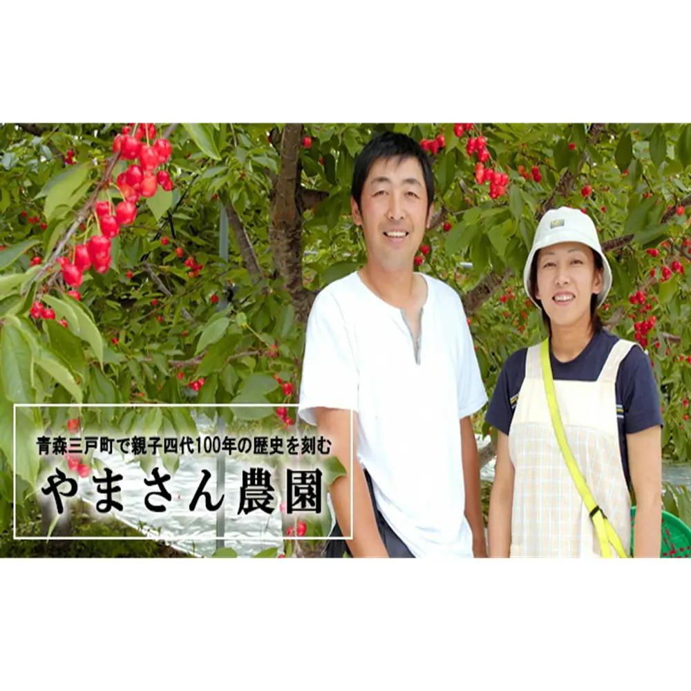 【訳あり】【2026年産・先行予約】青森県産 桃 約3kg（7~10玉） 