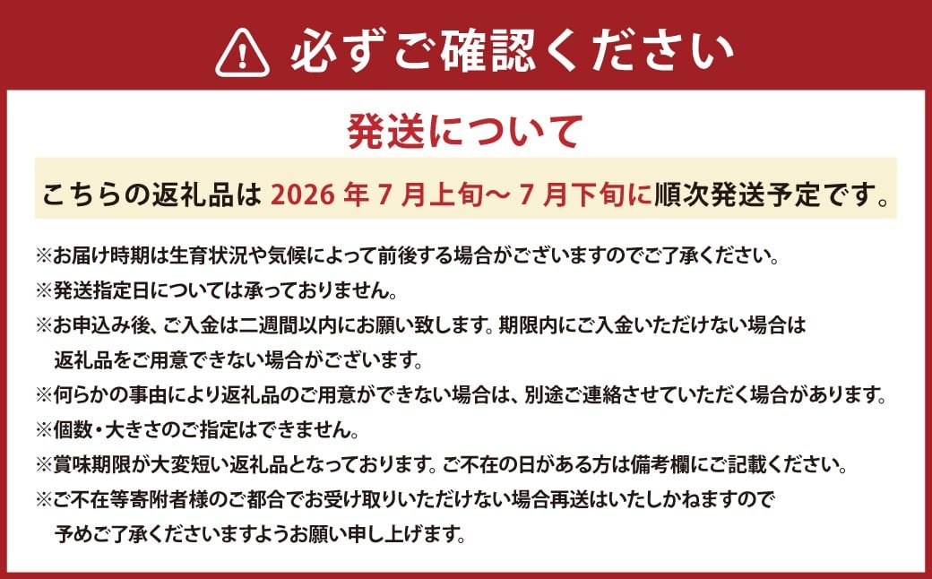 キングメルティーメロン 大玉 4玉（1玉 約2kg） 