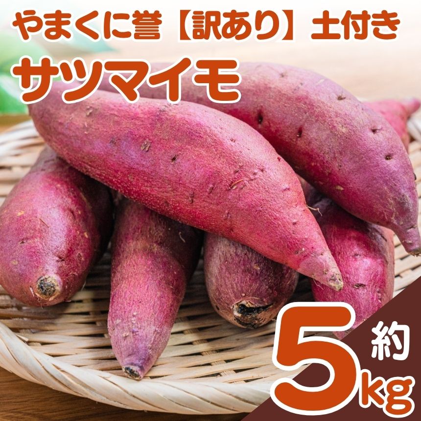 【ふるさと納税】 やまくに誉サツマイモ【訳あり】土付き 5キロ | サツマイモ さつまいも 5キロ 九州産 大分県 中津市