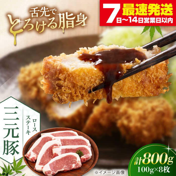 【ふるさと納税】 三元豚 ロースステーキ 8枚 100g/枚 藻塩ナシ 《喜茂別町》【平田牧場】肉 豚肉 ロース ステーキ ステーキ用 とんかつ トンテキ 生姜焼き 冷蔵配送 北海道 平田牧場 おすすめ [AJAP069] 17000 17000円