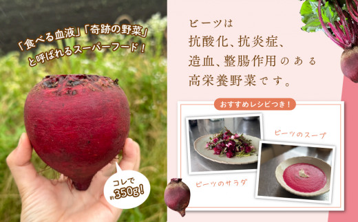 綾町産ビーツ ２kg[おすすめレシピ付き]_A0096-002