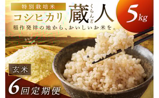 【定期便6回】令和8年産 特別栽培米コシヒカリ 蔵人（くらんど） 玄米5kg　GF00024