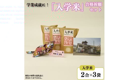 米 入学米 2合×3袋 マスコット 猫 ポストカード セット コメ お米 アキサカリ 受験 お祝い 入学祝 合格祈願 受験 必勝祈願 ギフト プレゼント 贈答 送料無料 徳島県 吉野川市