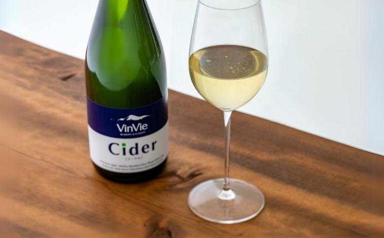 VI01-24F VinVieシードル（750ml）// 長野県 南信州 シードル りんごのお酒 贈答 ギフト