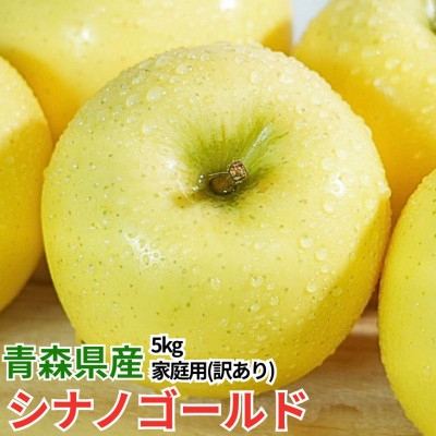 
                  平均糖度13度以上! シナノゴールド 約5kg 訳あり【1667956】
                
