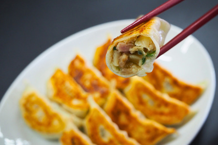 【定期便＿3ヶ月】【訳あり】冷凍野菜餃子：4パック（計12パック） 餃子 ギョーザ ぎょうざ 冷凍餃子 野菜餃子 豚肉餃子 国産豚餃子 冷凍生餃子 定期便