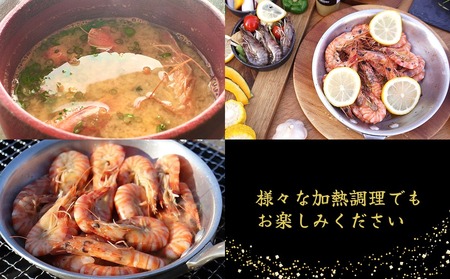 【久米総合開発】活き〆急速冷凍車海老：小500g