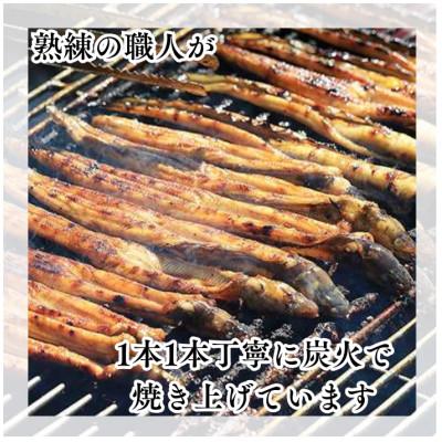 ふるさと納税 備前市 【訳あり】職人炭火焼き 穴子 (国産・韓国産) 特選ブレンド 5〜10本入(400g)タレ付き |  | 01