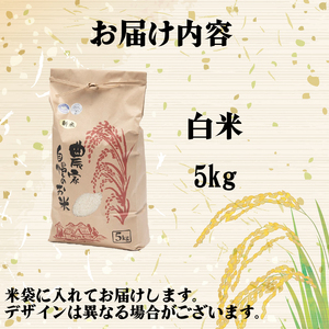 【 令和7年産 米 5kg 】 日本晴 米 白米