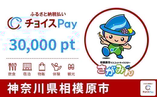 
            相模原市チョイスPay 30,000pt【会員限定のお礼の品】
          