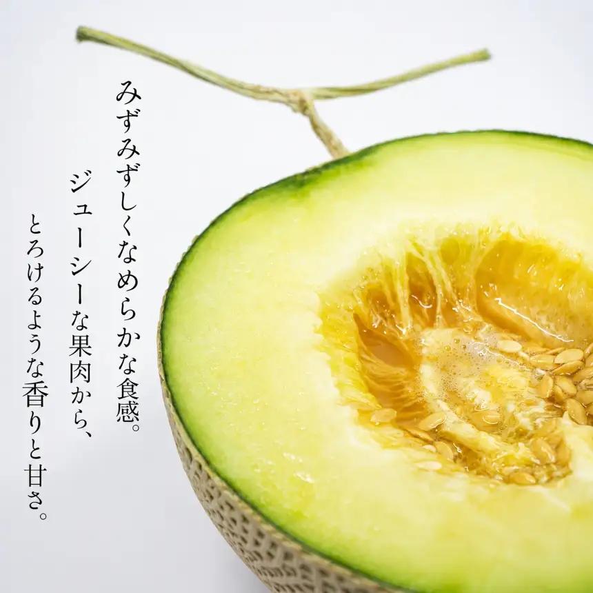 アールスメロン (1玉入り)