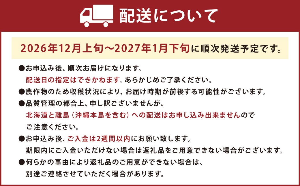 福岡産【冬】あまおう2パック いちご 苺 イチゴ 果物 くだもの フルーツ 冷蔵【2026年12月上旬～2027年1月下旬発送予定】