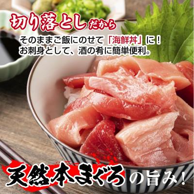 ふるさと納税 十日町市 【熨斗付き】天然本マグロ 切り落とし 赤身 中トロ 150g×2パック 計300g 新潟県十日町市 |  | 01