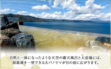 洞爺湖 ザ レイクビュー TOYA 乃の風 リゾート スパリゾート館ツイン ペア1泊2食付 スパ 癒し 観光地 温泉 露天風呂 サウナ ビュッフェ 旅行 旅 宿泊券 高級宿 宿 ホテル 送料無料 北海