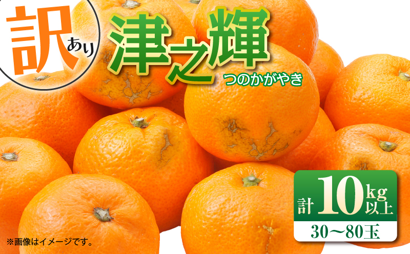 先行予約 訳あり 津之輝 つのかがやき 10kg 希少 L ～ 4L サイズ不揃い フルーツ 果物 くだもの 柑橘 みかん 蜜柑 2027年 令和9年発送 国産 食品 おすすめ デザート みかんジュー