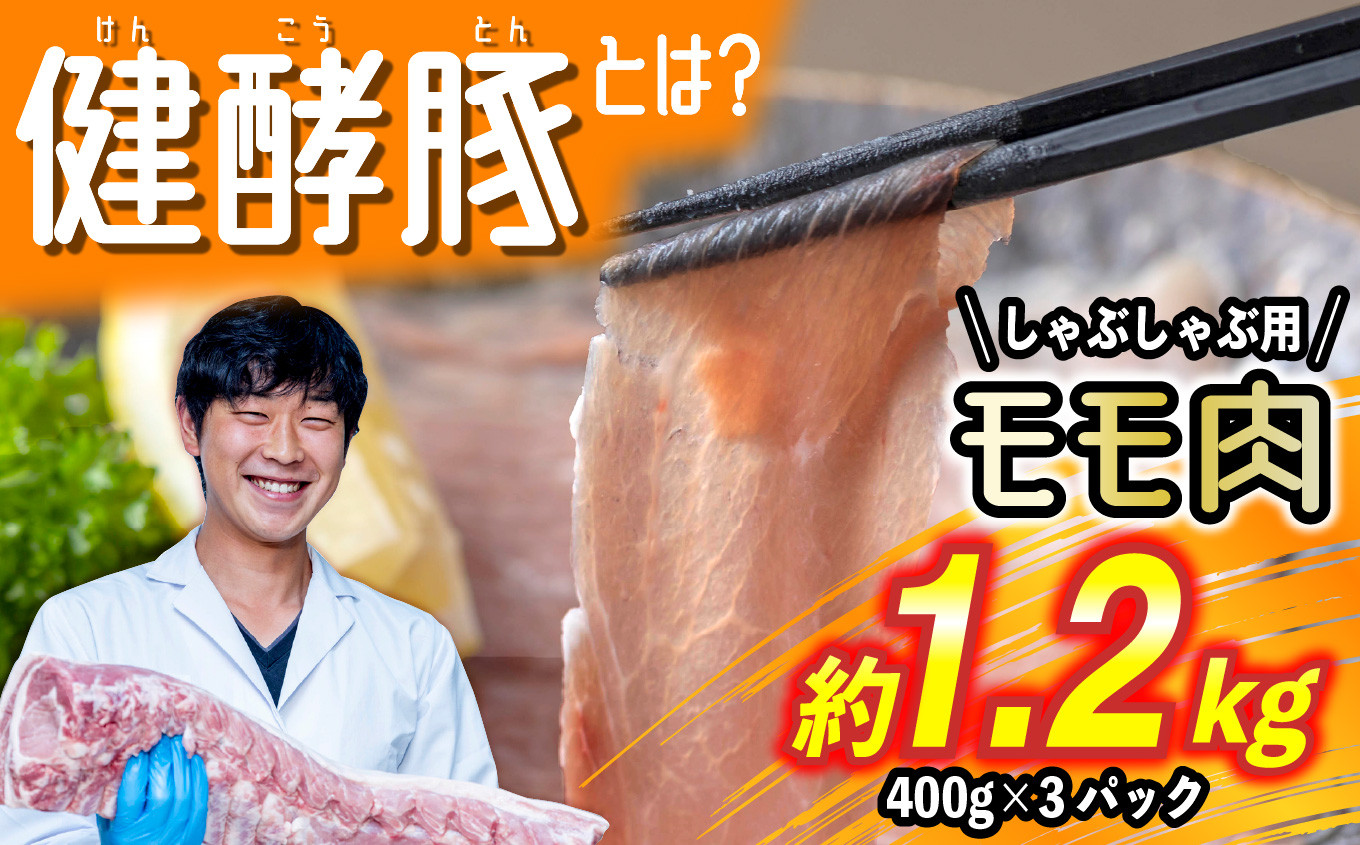 
北海道産 健酵豚 しゃぶしゃぶ 用 もも肉 計 1.2kg ( 400g × 3パック ) 豚肉 ブランドポーク 赤身 スライス
