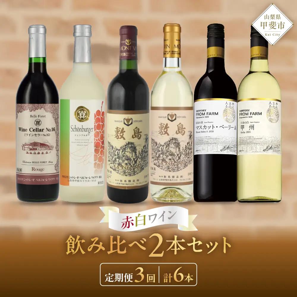 計6本 (赤白2本×3回) 甲斐市ワイナリー別赤白ワイン2本定期便　山梨県 甲斐市 AD-273