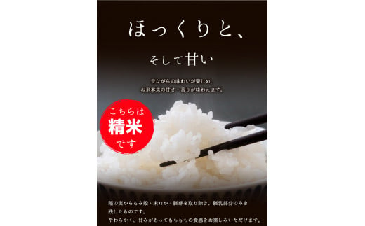 令和5年産 小さな竹美人 精米 4kg(2kg×2袋) 白米 精米 お米 米 コメ コモリファーム《30日以内に出荷予定(土日祝除く)》---sc_kmjasrsei_30d_23_13500_4kg